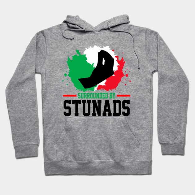 Surrounded By Stunads Hand Gesture Funny Italian Meme, funny Italian Phrases Gift Hoodie by norhan2000